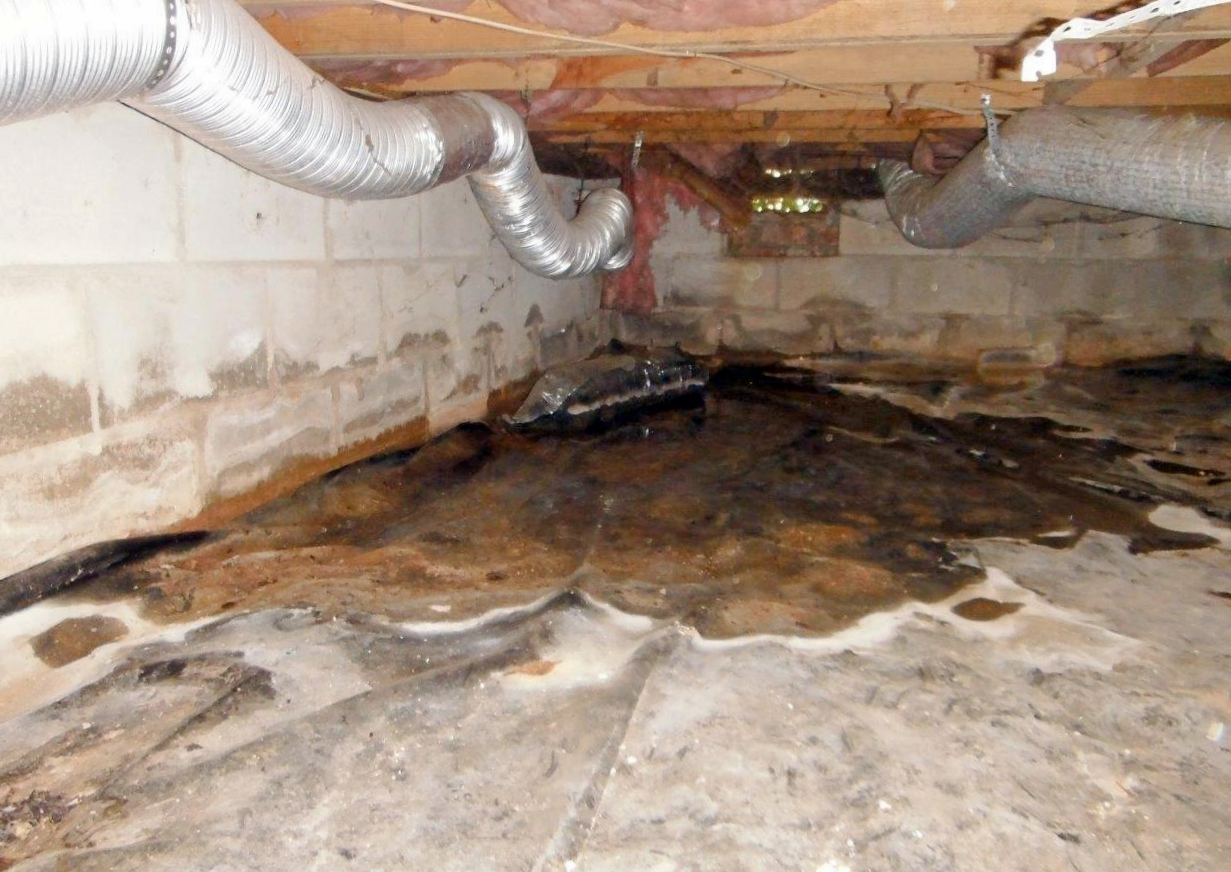 Damp crawl space with standing water, exposed insulation, and moisture damage in a New York home